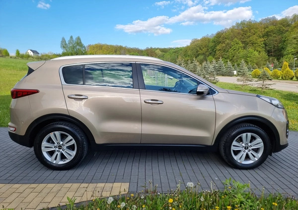 Kia Sportage cena 68900 przebieg: 104000, rok produkcji 2016 z Strzelce Opolskie małe 466